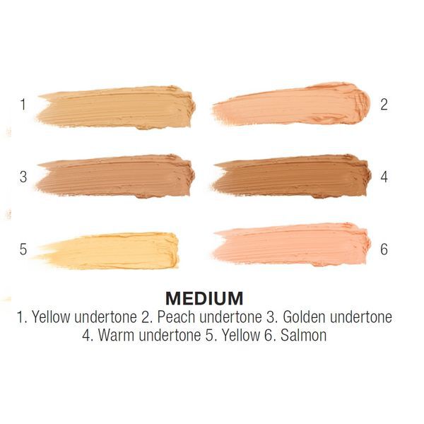 Conceal, Correct, Contour Palette