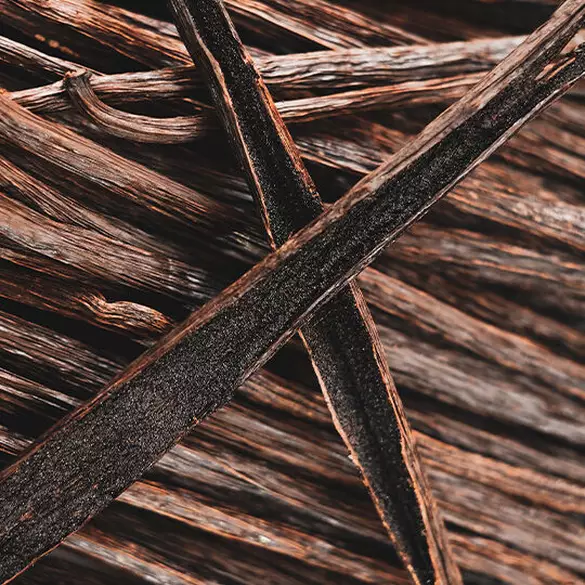 NYX Professional Makeup Coconut Cutie scent bottom notes are of vanilla beans and wood illustrating bottom notes of amber, musk, vanilla, sandalwood, and cedarwood.