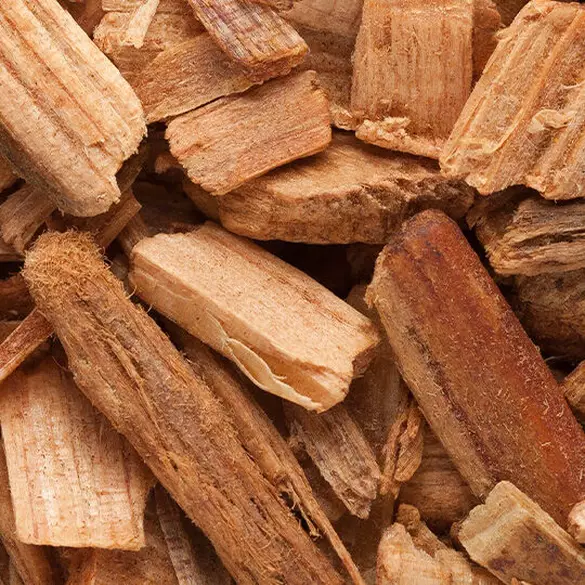 Suga Baddie scent bottom notes are Cedarwood chips, illustrating bottom notes of textured musks, edenolide, and soft cedarwood.