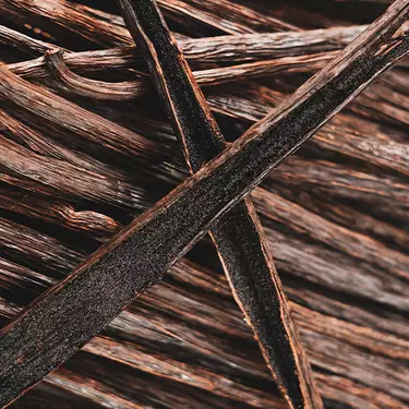 NYX Professional Makeup Coconut Cutie scent bottom notes are of vanilla beans and wood illustrating bottom notes of amber, musk, vanilla, sandalwood, and cedarwood.