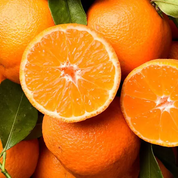 NYX Professional Makeup Fat Oil Body Oil in Juicy Boo scent top notes are of halved clementines and whole oranges representing top notes of juicy clementine, mango pulp, and golden berries.